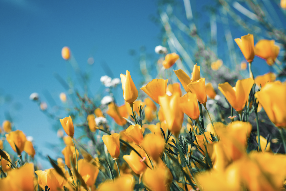 Ostern in Köln | Mr. Köln | Foto: Unsplash Ostern in Köln | Mr. Köln | Foto: Unsplash